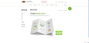 韓國ECMD食品企業 兒童友好型網站設計與創新交互體驗